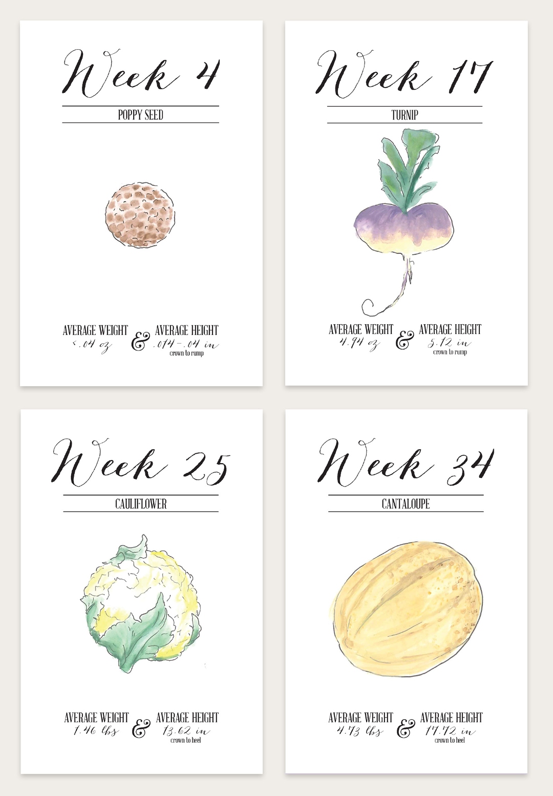 Expecting by the Week cards: four weekly milestone cards (Weeks 4, 17, 25, and 34) each with a watercolor fruit or vegetable illustration and baby size measurements in hand-lettered type